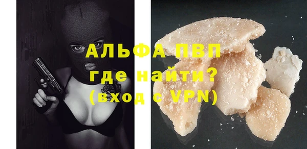 индика Абинск