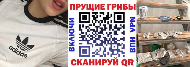 Псилоцибиновые грибы ЛСД  Киров 