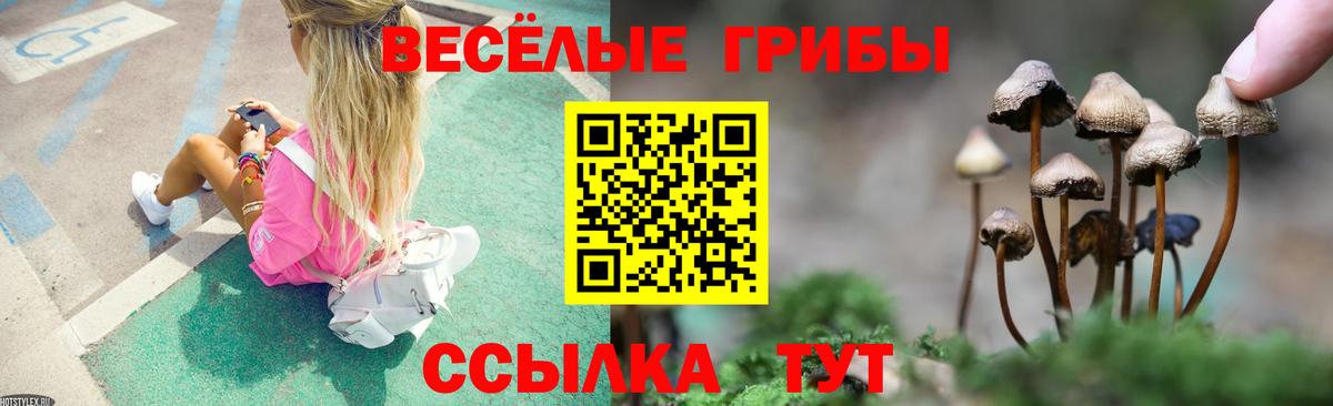 Галлюциногенные грибы Psilocybine cubensis Киров